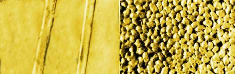 soy protein powder vs whey