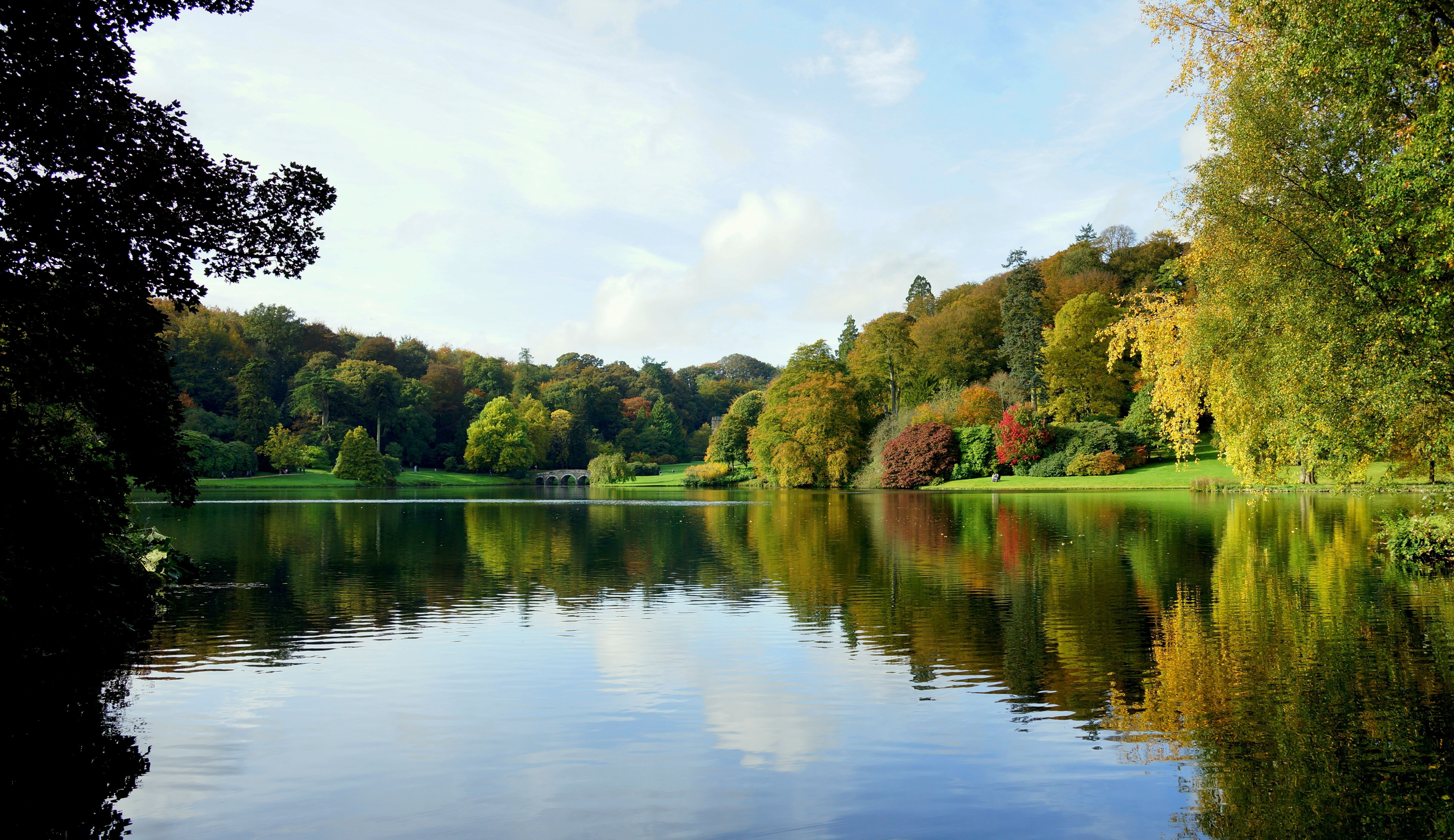 nature, Forest, River Wallpapers HD / Desktop and Mobile Backgrounds