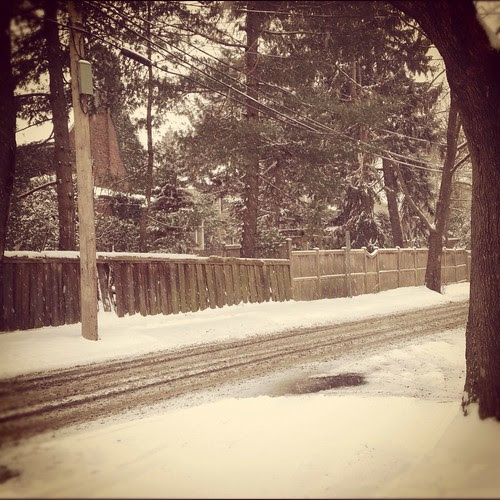 Snowy Neighbourhood