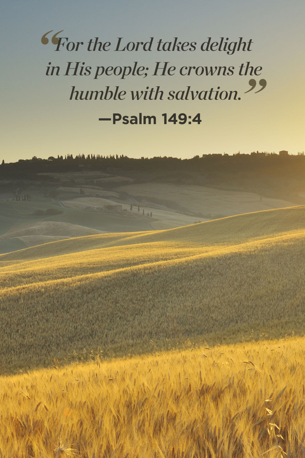 26 Inspirational Bible Quotes That Will Change Your Perspective on Life Bible Verse of the Day