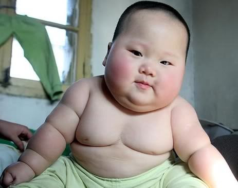bebe obese chinois