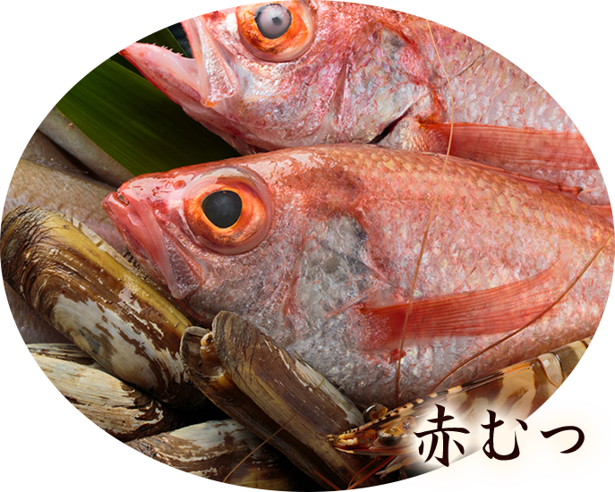 福岡 野芥の居酒屋 味食家 たかのすけ 一人飲み 宴会に最適 公式