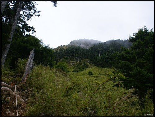DSC09210