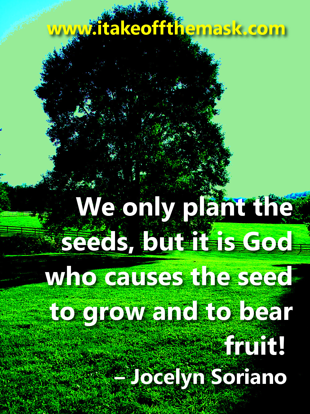 plantseed2 “