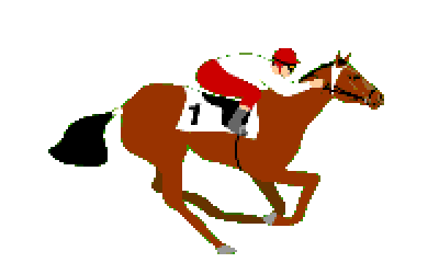 horse racing gif