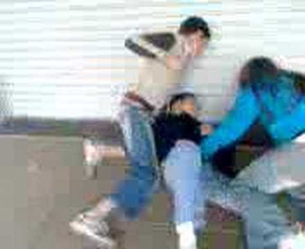 peleas cayejeras canvas