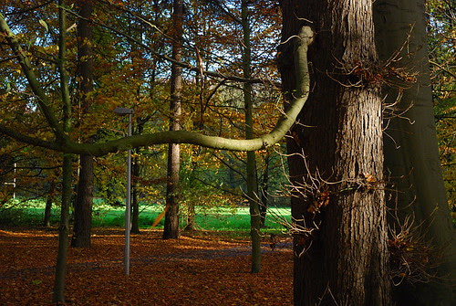 DSC_1678 by kiemchacsu.