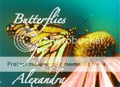 butterfliesforalexandra