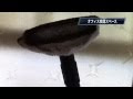 いろいろ 壁紙 ヤニ 取り 155129-壁紙 ヤニ取り 洗剤おすすめ