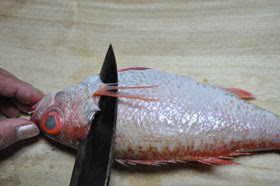 のどぐろのさばき方 浜田魚商協同組合