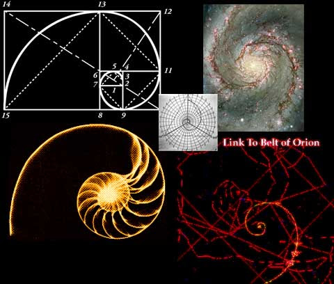 http://media.photobucket.com/image/original%20fractal%201970s/fairhenbane/fractal.jpg