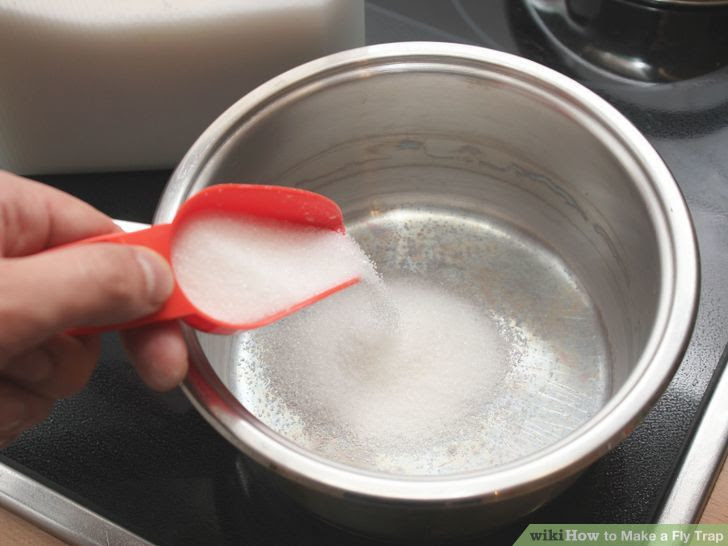 Make a Fly Trap Step 5 Version 3.jpg