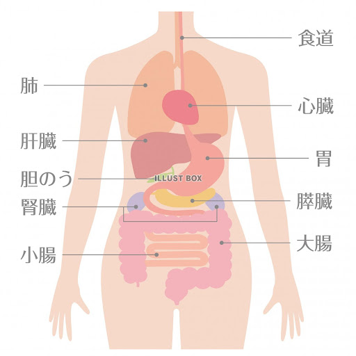 イメージ