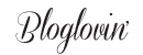 bloglovin-01