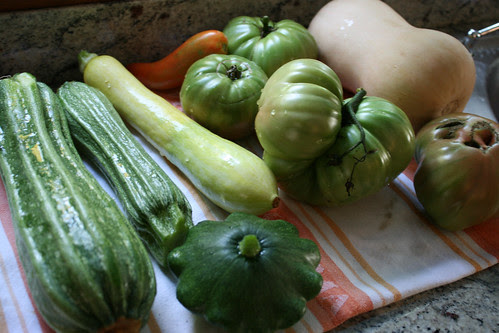 harvest 010