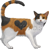 日本猫 三毛猫 ミケネコのイラスト 条件付フリー素材集