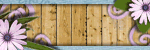 Image Hosted by ImageShack.us