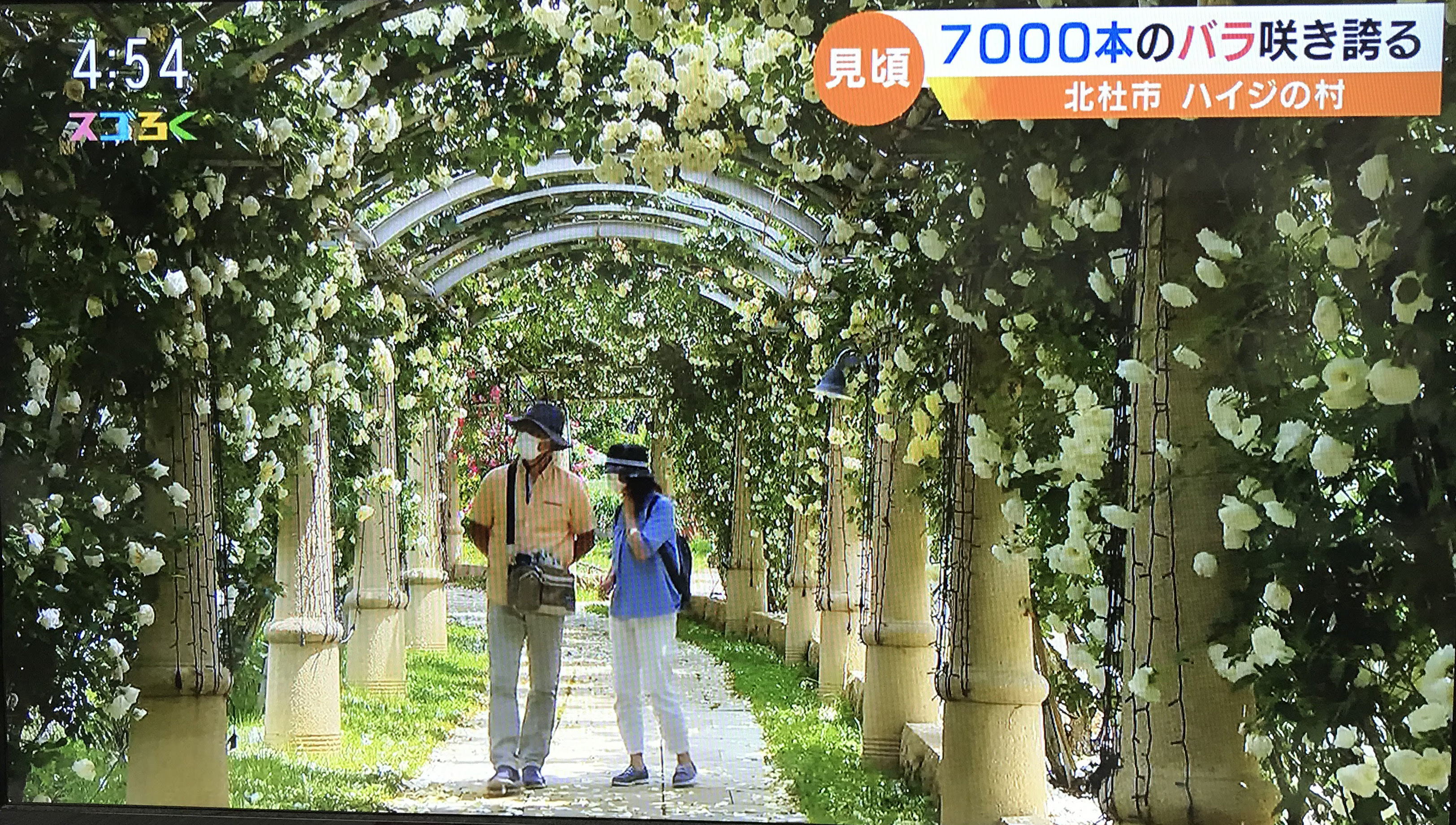 6月9日 火 Uty スゴろく にてハイジの村が紹介されました 株式会社桔梗屋