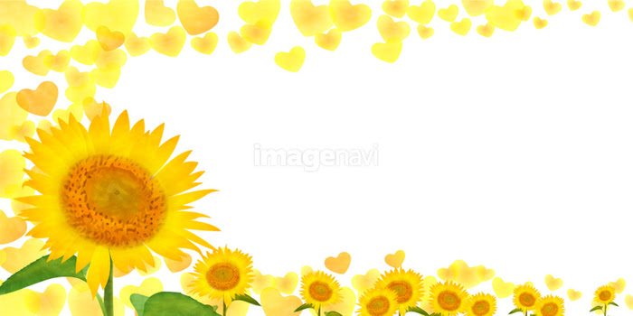 ひまわり 夏 ハート 背景 の画像素材 イラスト素材ならイメージナビ