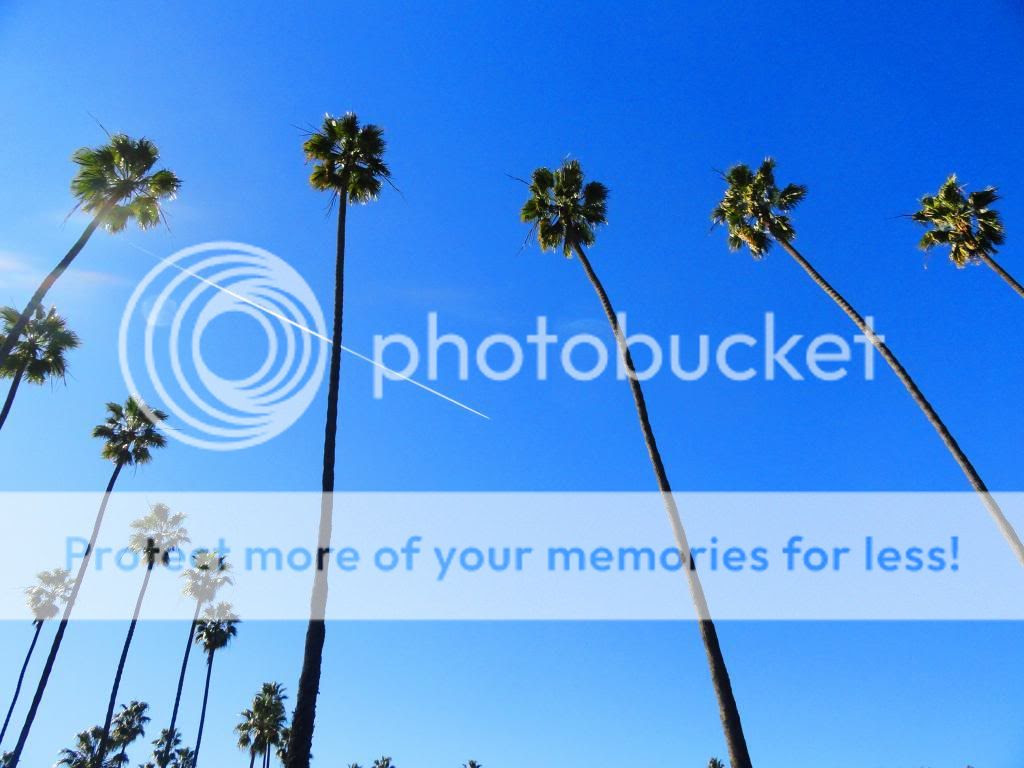  photo DSC078131_zps23993bf1.jpg