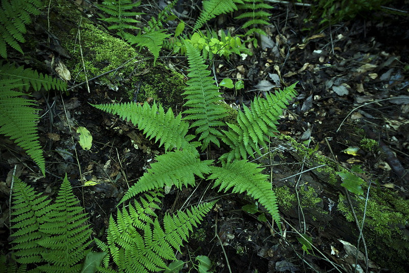 _DSC0614