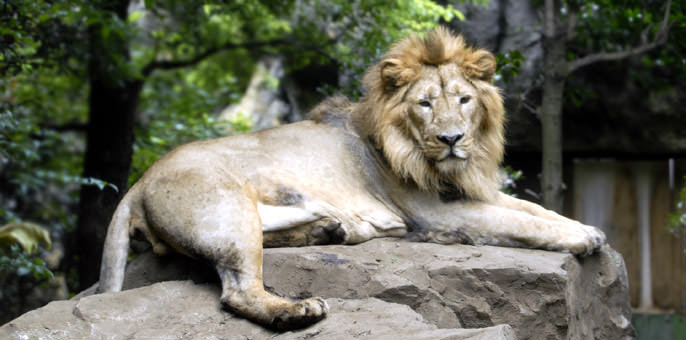 今度のデートはここで決まり 都内のおすすめ動物園5選 Boy ボーイ モテない男子のためのモテメディア