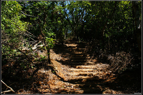 DSC04049