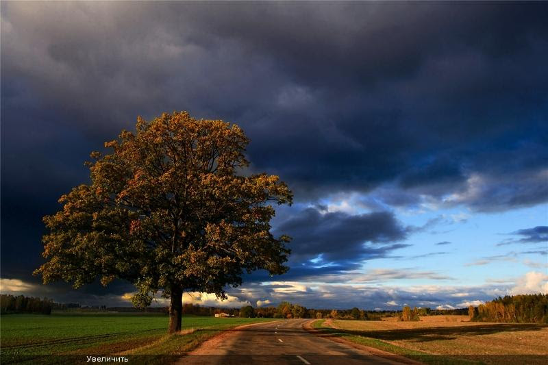 Nature in Latvia 19