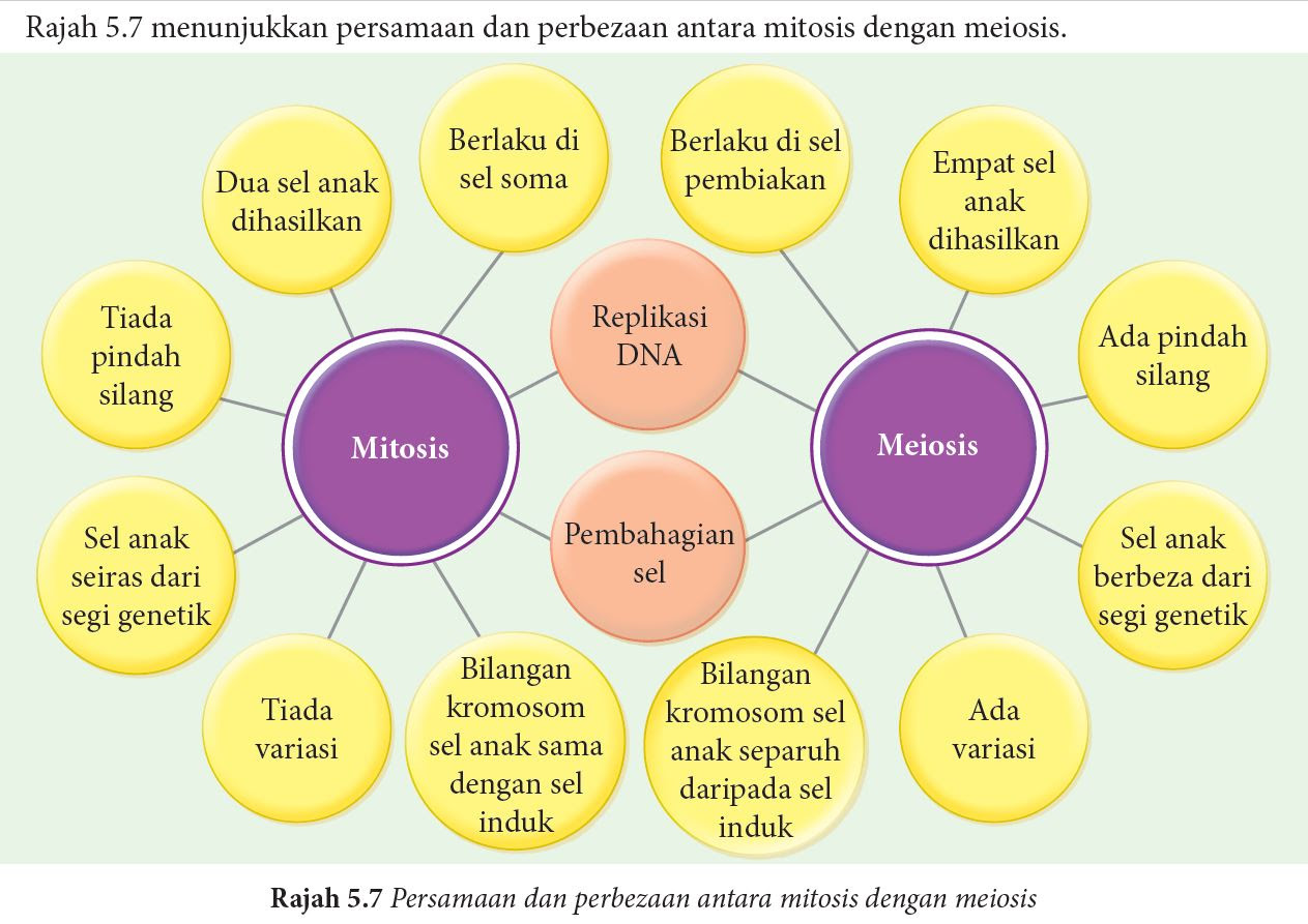 Praktis Formatif 5 1 Sains Tingkatan 4 Kssm Bab 5 Sains Spm