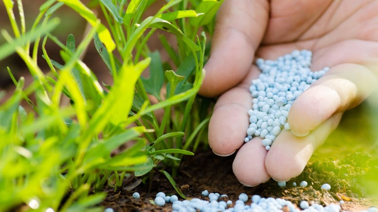 fertilizer