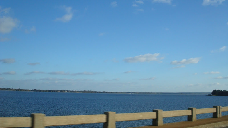 Lake Harris Near Clermont FL
