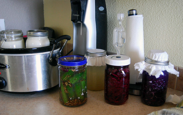 Fermentation station