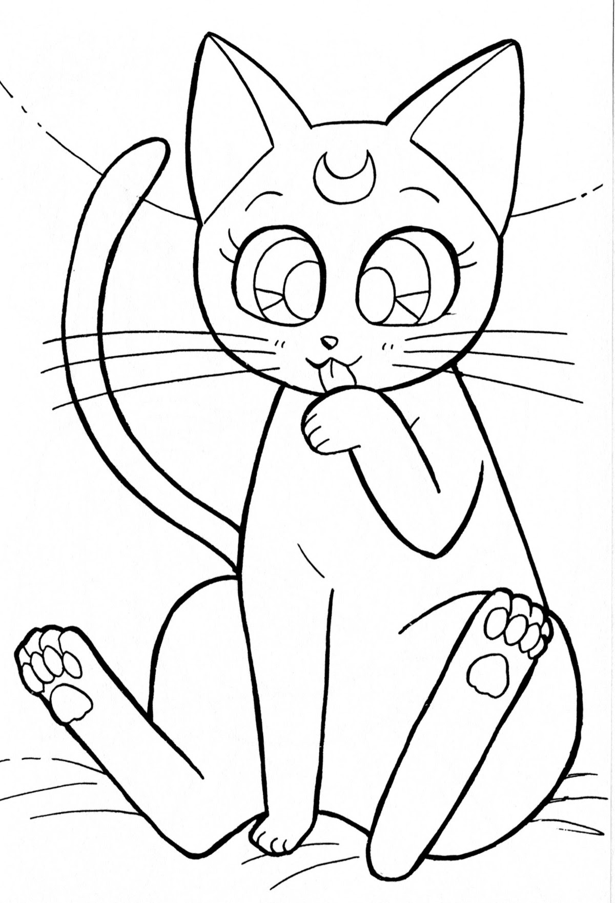 Tsuki Matsuri The Sailormoon Coloring Book Archive