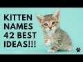 【ベストコレクション】 boy and girl names for cats 240156-What are some cat names for a girl