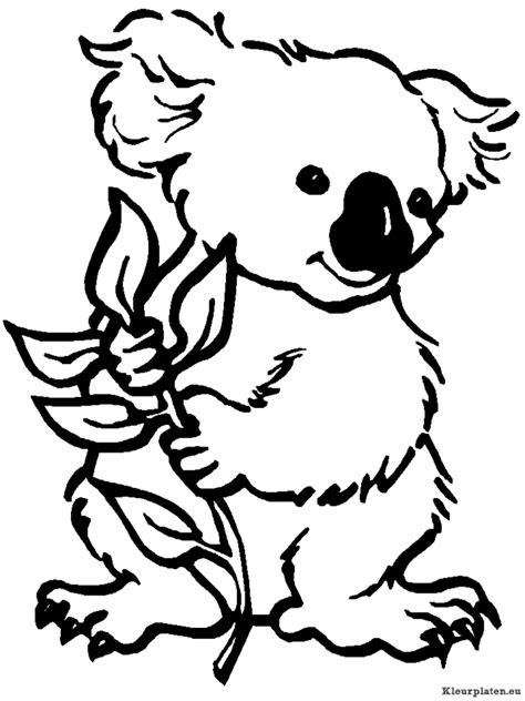 koala beertjes kleurplaten kleurplateneu