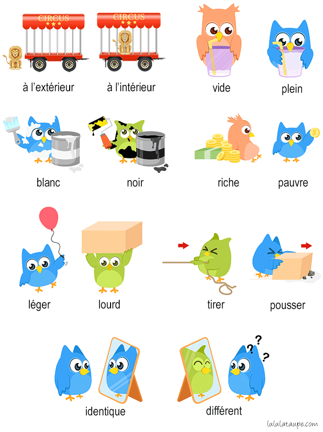 Przeciwieństwa (antonimy) - słownictwo 3 - Francuski przy kawie