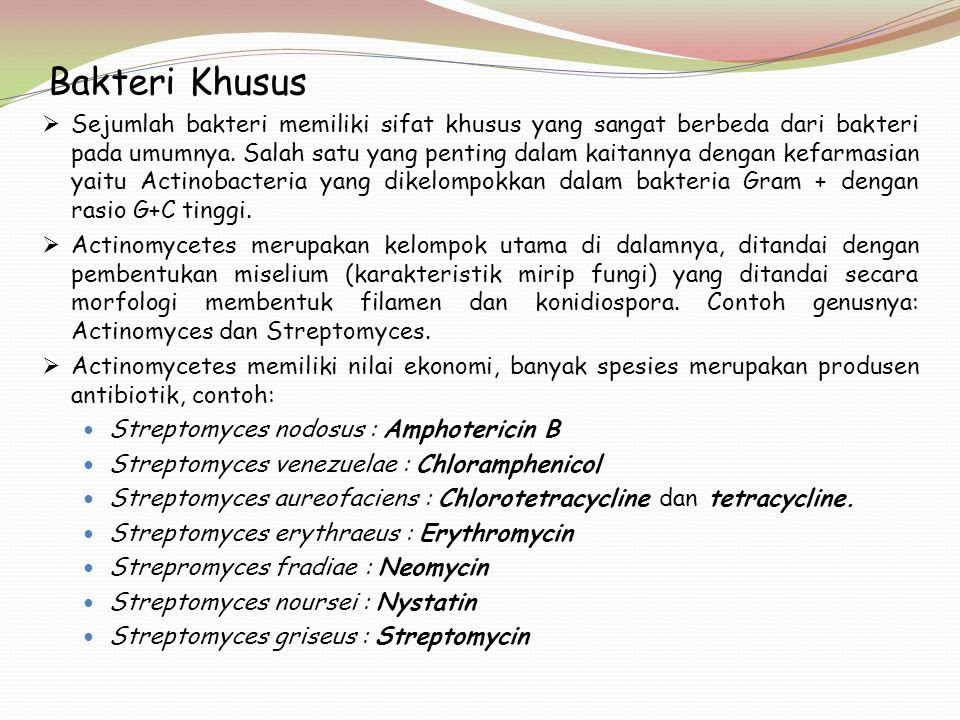 BIOLOGI MIKROORGANISMA: Bakteri - ppt download