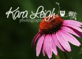 Kara Leigh Photography