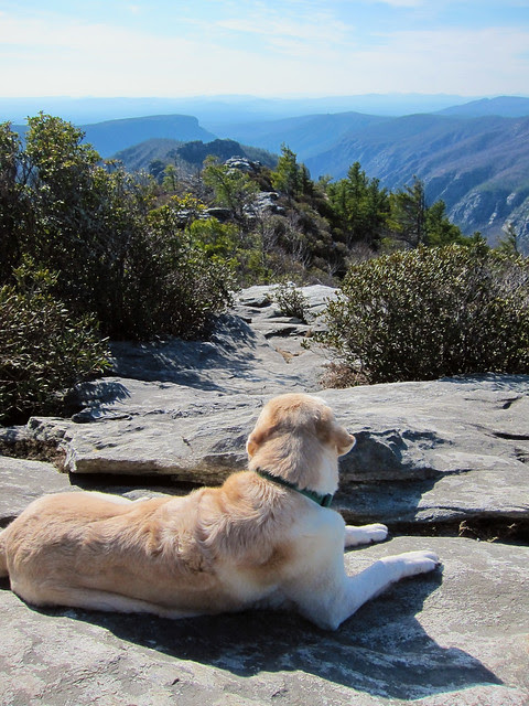 nacho top of the world