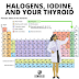 Halogens Periodic Table