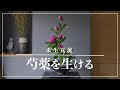200以上 芍薬 花瓶 生け方 197106-芍薬 花瓶 生け方