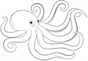 Octopus Coloring Pages Free Coloring Pages
