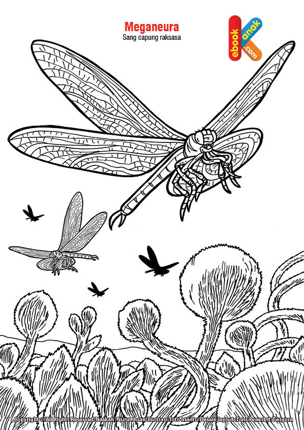  Gambar  Mewarnai Gambar  Sketsa Hewan  Capung  1 Warnai di 