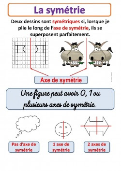 La Symetrie Affiche Lecon Et Exercices Le Jardin D Alysse