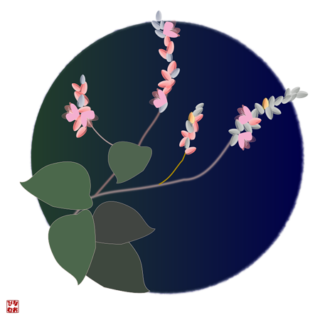 藍の花 やへむぐら 季節のイラスト