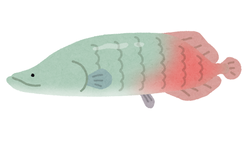 魚種 Oyamawaterpark遊水園