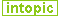 intopic.it