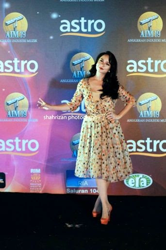 nora danish aim19