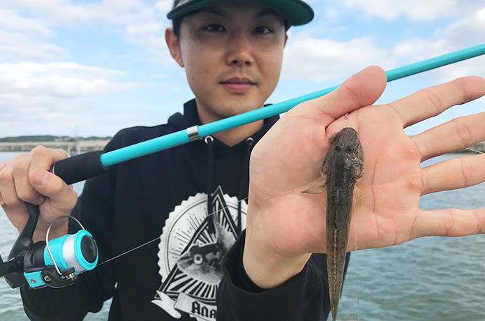 初心者でも釣れるの 気仙沼で4月 7月に釣れる魚を地元の釣りyoutuberが紹介 公式 気仙沼の観光情報サイト 気仙沼さ来てけらいん