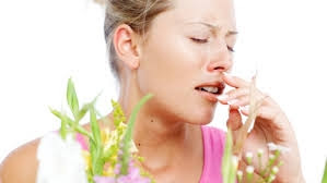 Fantastic Allergic reaction Advice That You Must Know About
